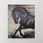 horse limited edition artist proof print
